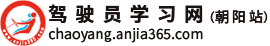 驾驶员学习网（朝阳站）